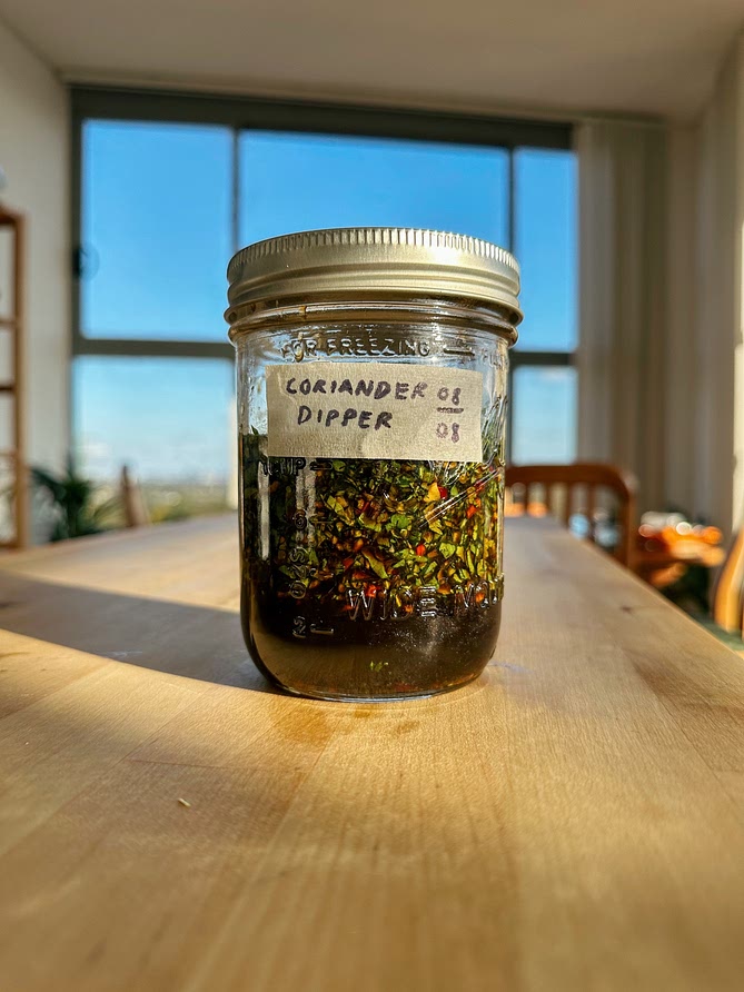 Coriander Dipping Sauce