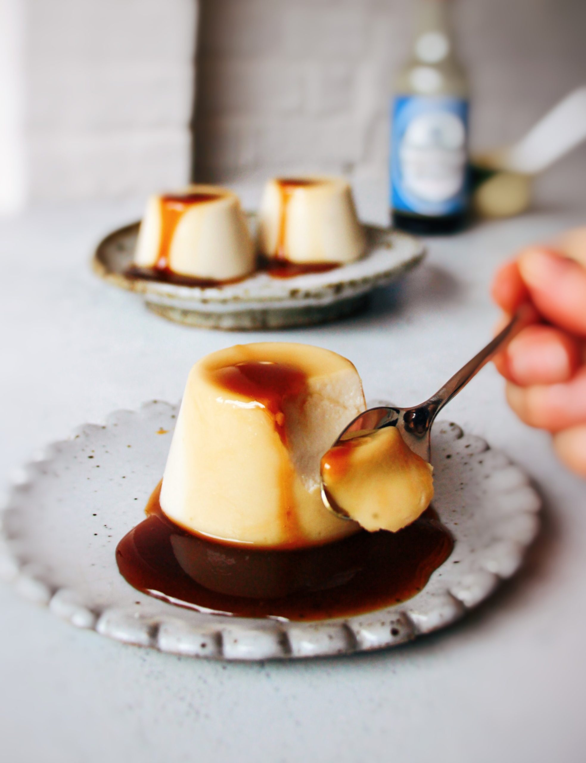 Soy Milk Pudding with Sweet Soy Sauce Glaze