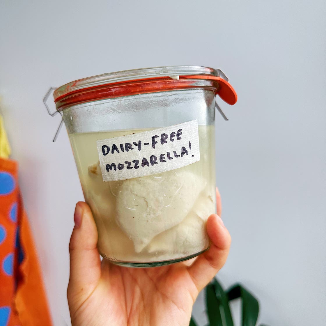 Dairy-Free Fresh Mozzarella in Brine