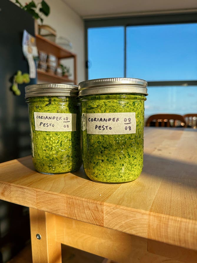 Coriander Pesto (Cilantro Pesto)